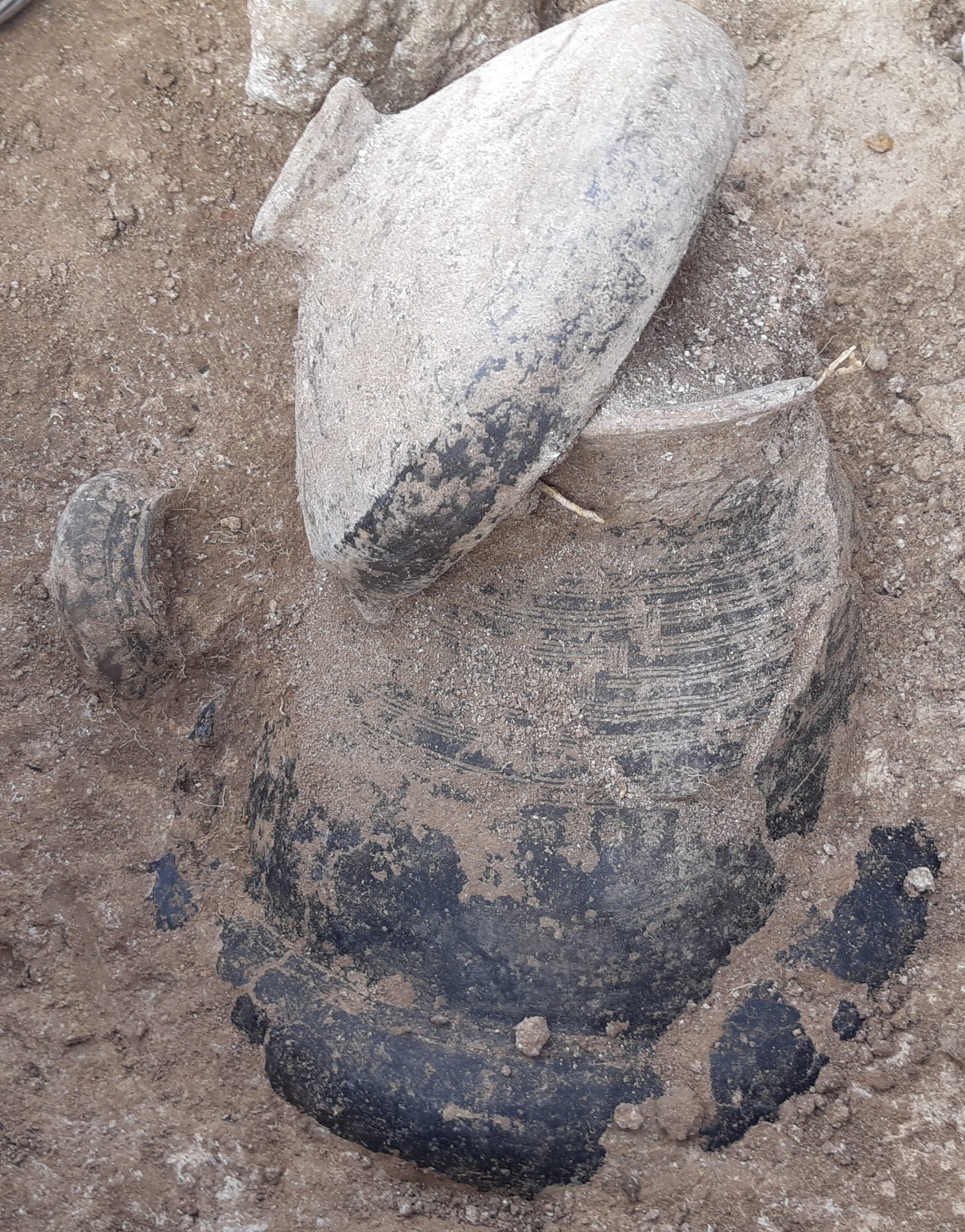 Villanovan urn from Vulci excavation (Photo credits:  Carmen Esposito)