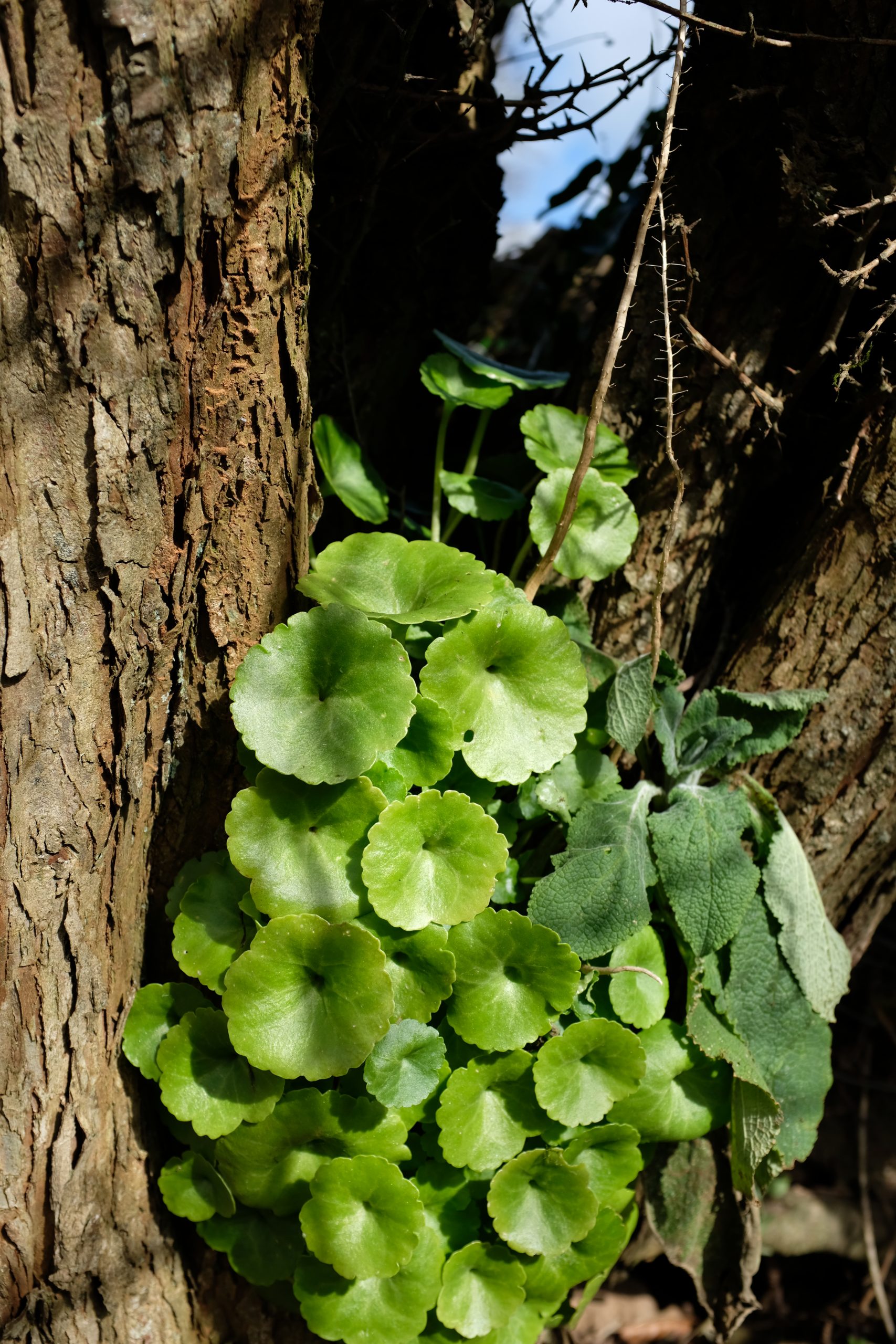 The Wishing Forest research trip to
Killymuck Farm, March 2025. Photo: Shakira
Nelis.